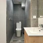 Vibrant And Modern *